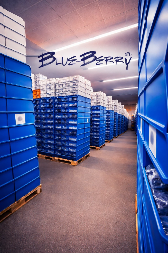 optical frames resale, wholesale eyewear global distribution,certified optical frames