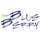 Blue-Berry GmbH